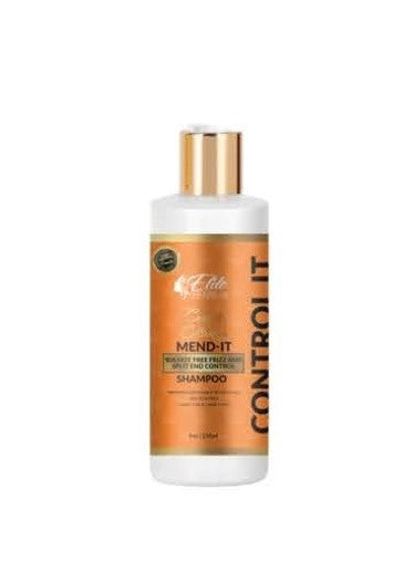 Mend It Frizz and Split End Control Sulfate Free Shampoo